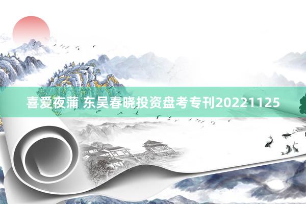 喜爱夜蒲 东吴春晓投资盘考专刊20221125