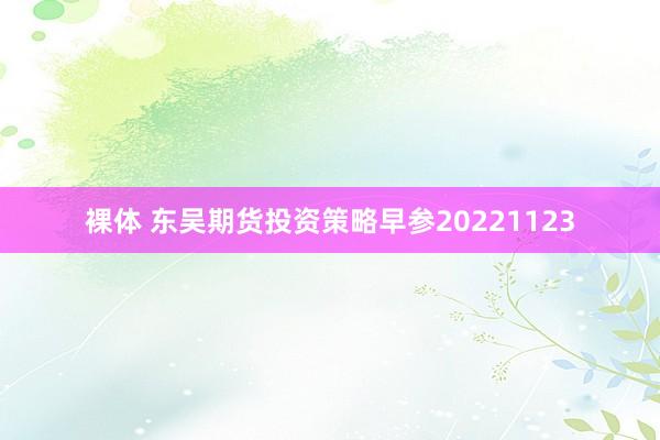 裸体 东吴期货投资策略早参20221123