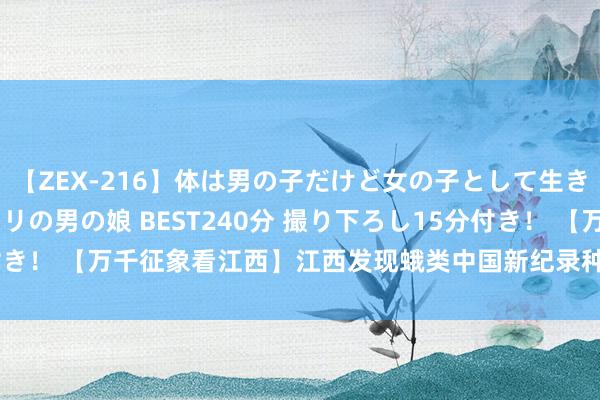 【ZEX-216】体は男の子だけど女の子として生きてる 感じやすいペニクリの男の娘 BEST240分 撮り下ろし15分付き！ 【万千征象看江西】江西发现蛾类中国新纪录种_大皖新闻 | 安徽网