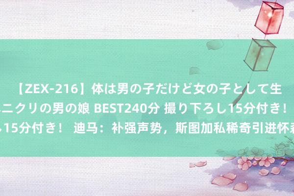 【ZEX-216】体は男の子だけど女の子として生きてる 感じやすいペニクリの男の娘 BEST240分 撮り下ろし15分付き！ 迪马：补强声势，斯图加私稀奇引进怀森和古德蒙德森