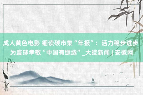 成人黄色电影 细读碳市集“年报”：活力稳步进步 为寰球孝敬“中国有缱绻”_大皖新闻 | 安徽网