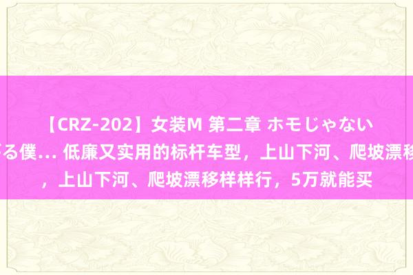 【CRZ-202】女装M 第二章 ホモじゃないのにチ○ポを欲しがる僕… 低廉又实用的标杆车型，上山下河、爬坡漂移样样行，5万就能买