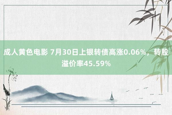 成人黄色电影 7月30日上银转债高涨0.06%，转股溢价率45.59%