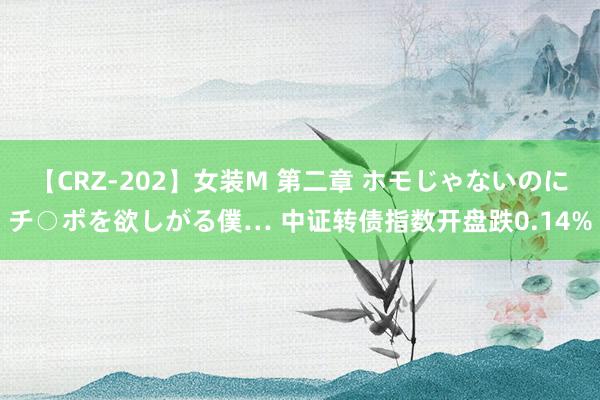 【CRZ-202】女装M 第二章 ホモじゃないのにチ○ポを欲しがる僕… 中证转债指数开盘跌0.14%