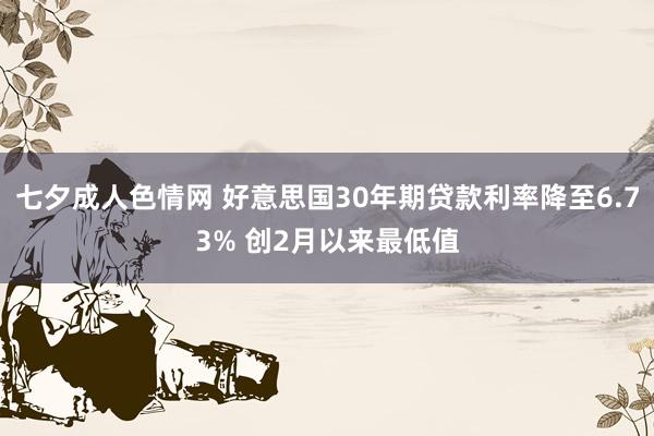 七夕成人色情网 好意思国30年期贷款利率降至6.73% 创2月以来最低值