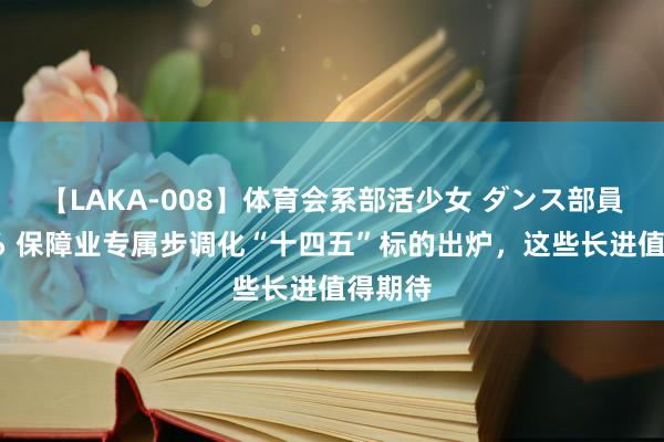 【LAKA-008】体育会系部活少女 ダンス部員 ひかる 保障业专属步调化“十四五”标的出炉，这些长进值得期待