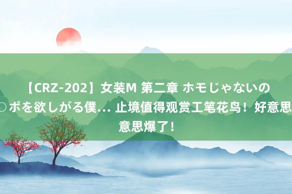 【CRZ-202】女装M 第二章 ホモじゃないのにチ○ポを欲しがる僕… 止境值得观赏工笔花鸟！好意思爆了！