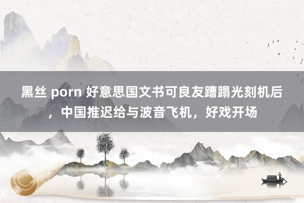 黑丝 porn 好意思国文书可良友蹧蹋光刻机后，中国推迟给与波音飞机，好戏开场